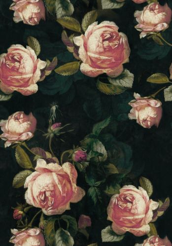 Panoramique Beauty Full Image English Roses Casadeco