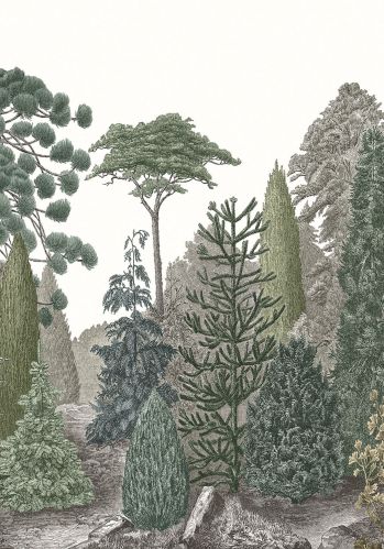 Panoramique Pinede Casadeco