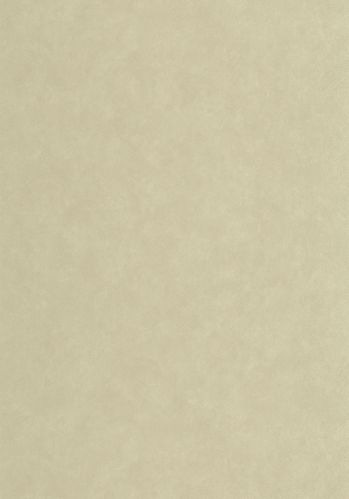 Papier  Peint Solea Casadeco