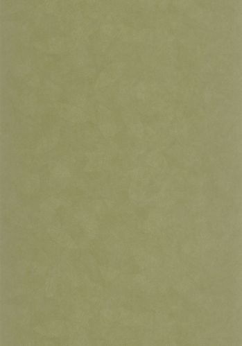 Papier  Peint Solea Casadeco