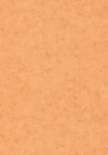 Papier  Peint Beton Uni Caselio