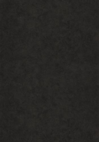 Papier  Peint Beton Uni Caselio