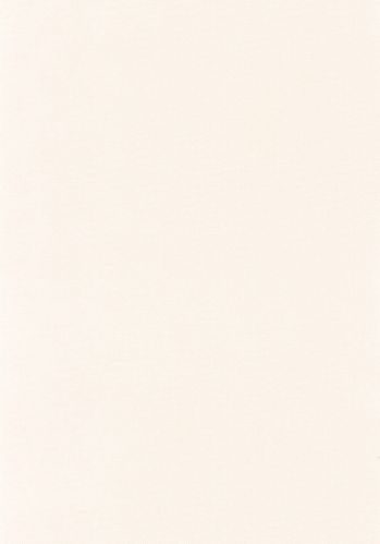 Papier  Peint Uni Natte Caselio