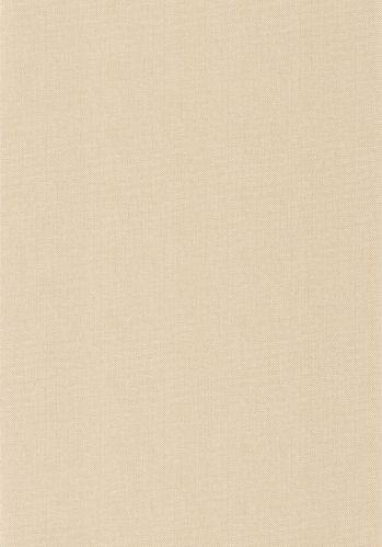 Papier  Peint Uni Natte Metallises Caselio