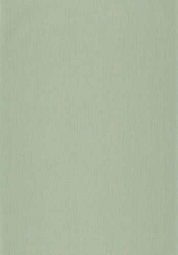 Papier  Peint Uni Natte Metallises Caselio