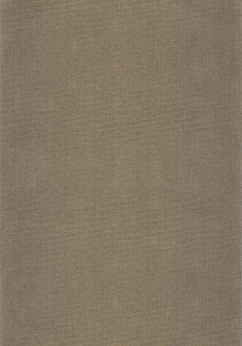 Papier  Peint Uni Natte Metallises Caselio