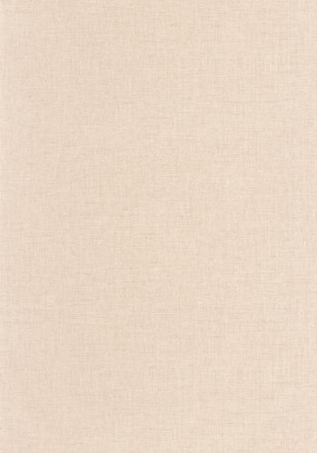 Papier  Peint Uni Mat Caselio