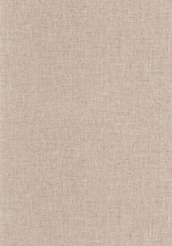 Papier  Peint Uni Mat Caselio