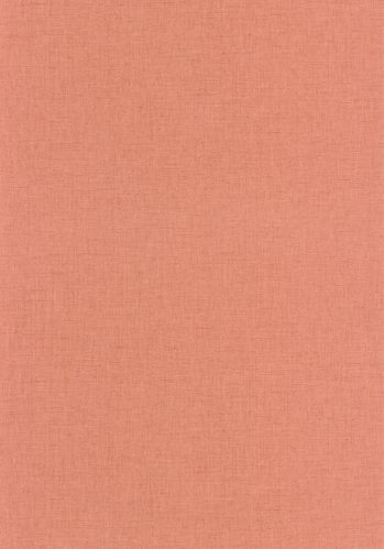 Papier  Peint Uni Mat Caselio