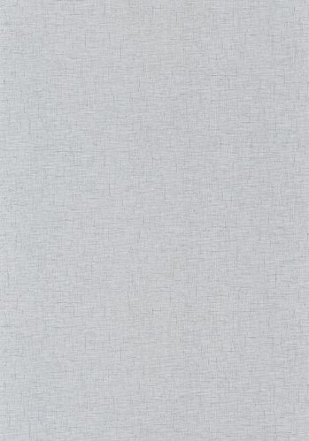 Papier  Peint Gaze Metal Caselio