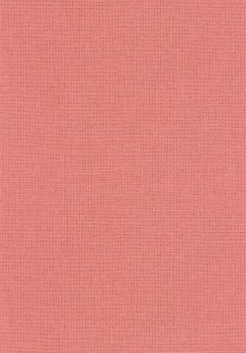 Papier  Peint Uni Mat Caselio