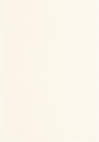 Papier  Peint Uni Caselio