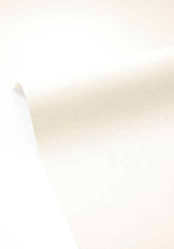 Papier  Peint Uni Caselio