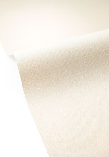 Papier  Peint Uni Caselio