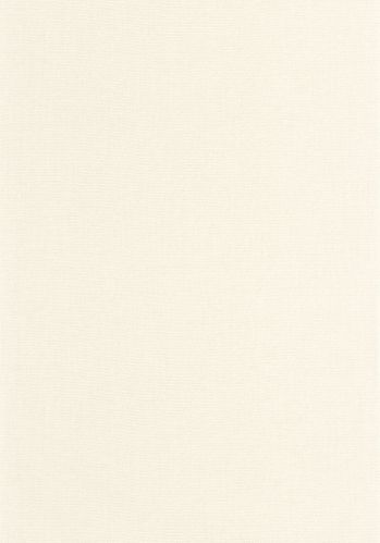 Papier  Peint Uni Caselio
