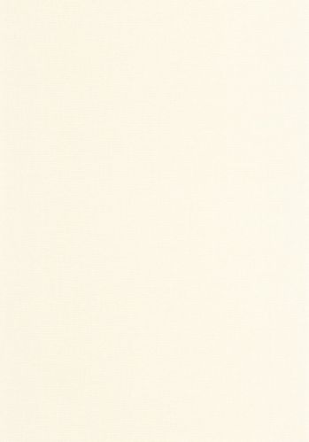 Papier  Peint Uni Caselio
