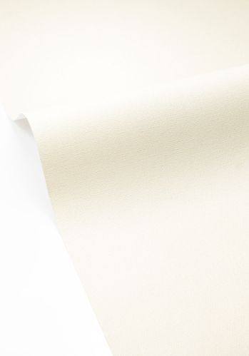 Papier  Peint Uni Caselio