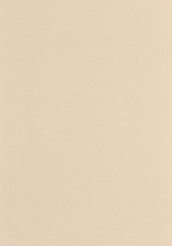 Papier  Peint Uni Caselio