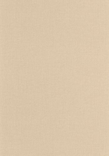 Papier  Peint Uni Caselio