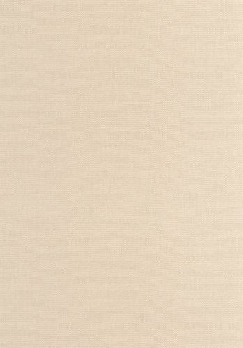 Papier  Peint Uni Caselio
