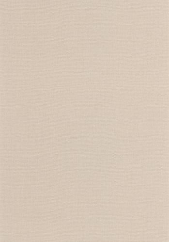 Papier  Peint Uni Caselio