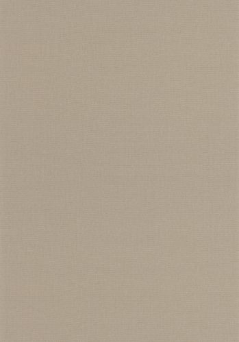 Papier  Peint Uni Caselio