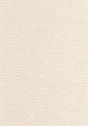 Papier  Peint Uni Caselio