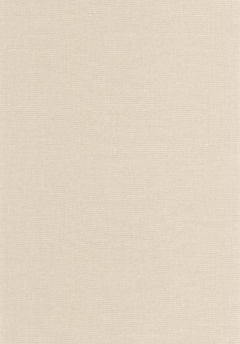 Papier  Peint Uni Caselio