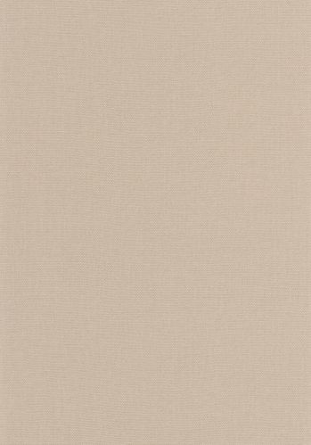 Papier  Peint Uni Caselio