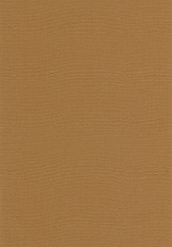 Papier  Peint Uni Caselio