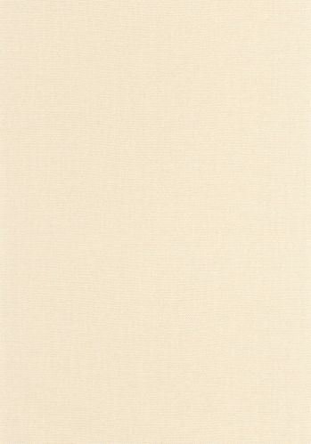 Papier  Peint Uni Caselio