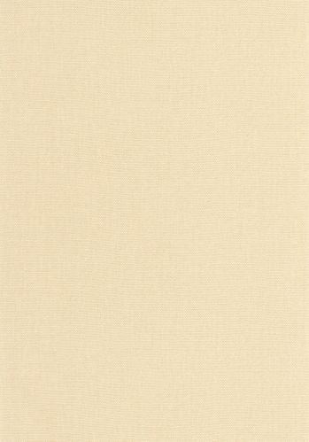 Papier  Peint Uni Caselio