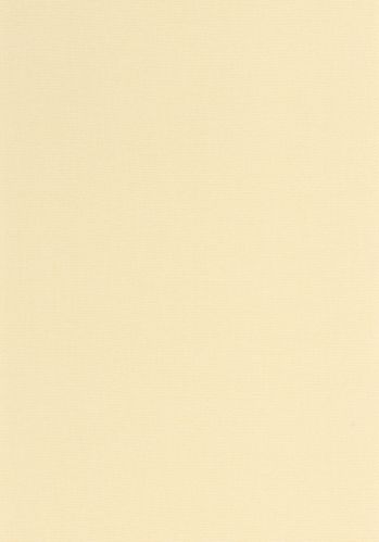Papier  Peint Uni Caselio