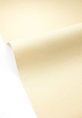 Papier  Peint Uni Caselio