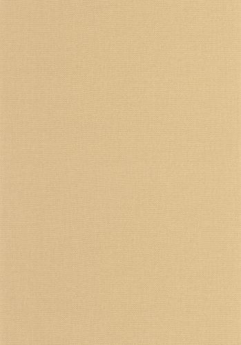 Papier  Peint Uni Caselio