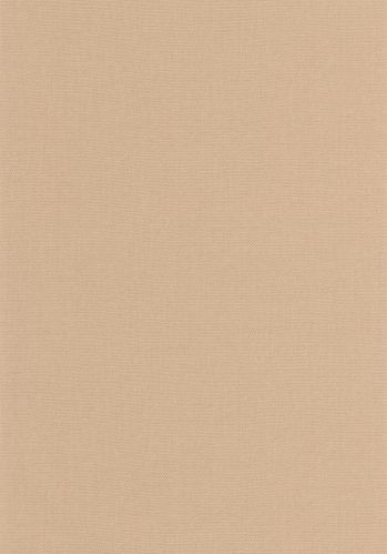 Papier  Peint Uni Caselio