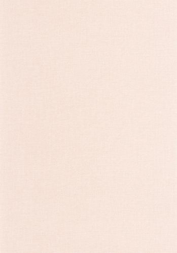 Papier  Peint Uni Caselio