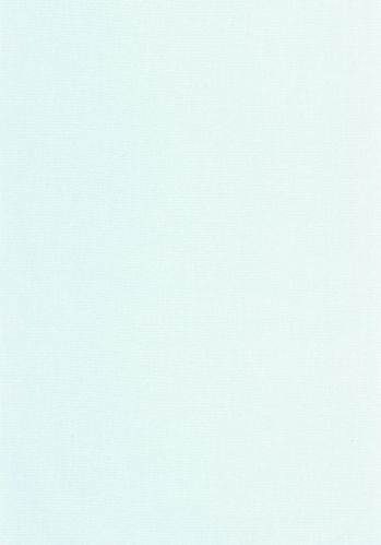 Papier  Peint Uni Caselio