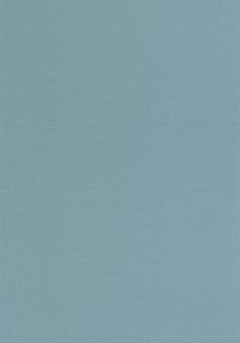 Papier  Peint Uni Caselio