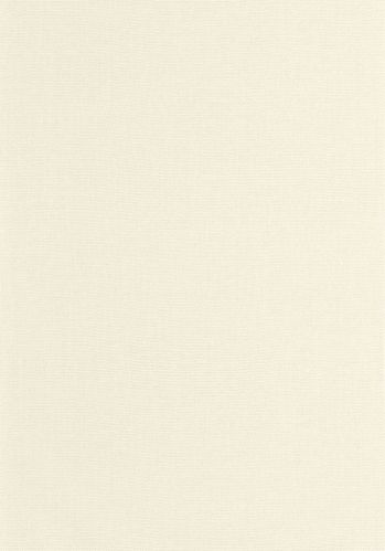 Papier  Peint Uni Caselio