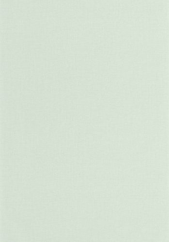 Papier  Peint Uni Caselio