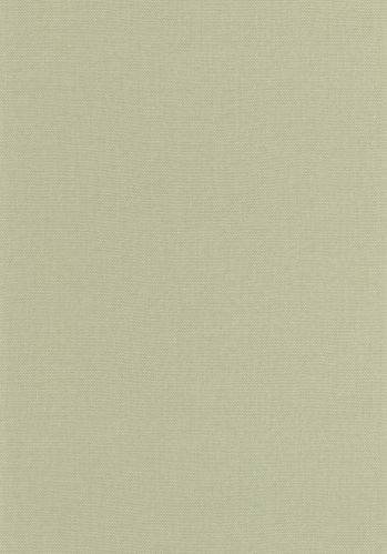 Papier  Peint Uni Caselio