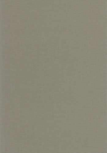 Papier  Peint Uni Caselio
