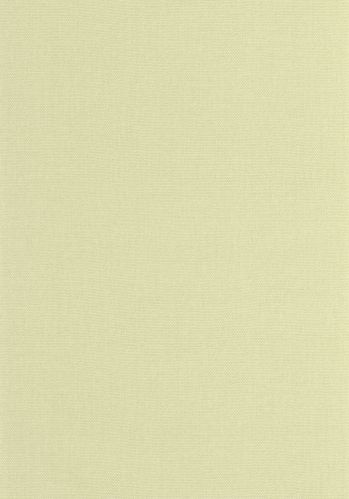 Papier  Peint Uni Caselio