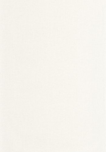 Papier  Peint Uni Caselio
