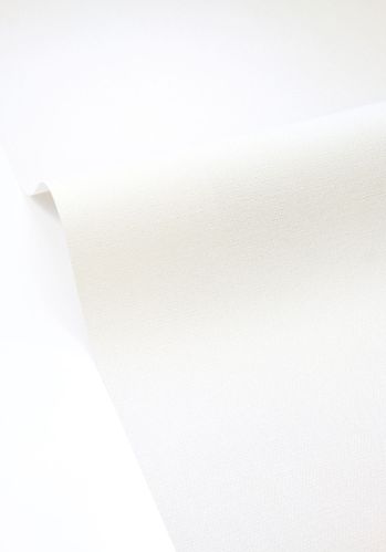 Papier  Peint Uni Caselio