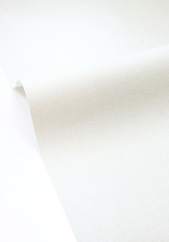 Papier  Peint Uni Caselio