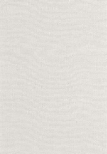 Papier  Peint Uni Caselio