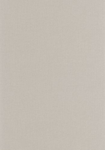 Papier  Peint Uni Caselio