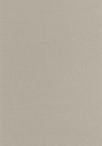Papier  Peint Uni Caselio